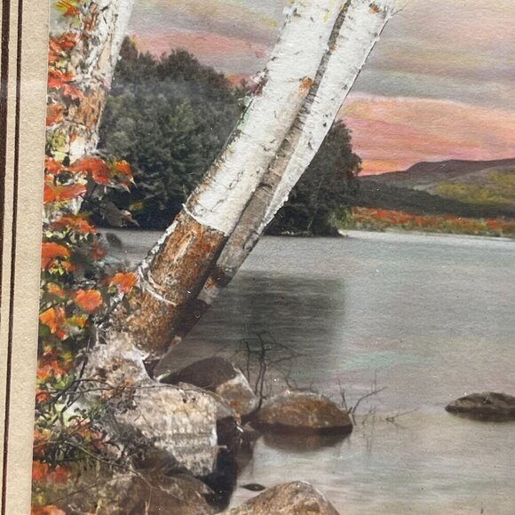 Vintage Hand Tinted Photograph Wilton Birches John Carleton Bicknell Maine Frame - Picture 6 of 8
